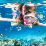 Aktivitas Berenang Snorkeling Yang Melihat Keindahannya