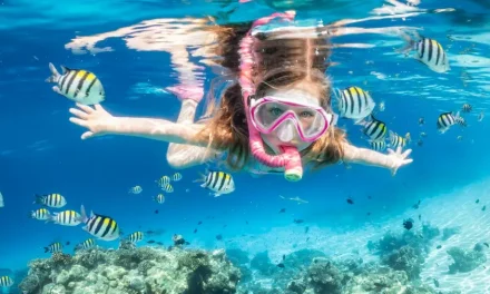 Aktivitas Berenang Snorkeling Yang Melihat Keindahannya