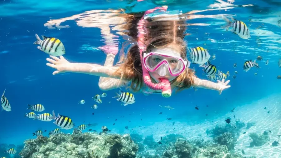 Aktivitas Berenang Snorkeling Yang Melihat Keindahannya