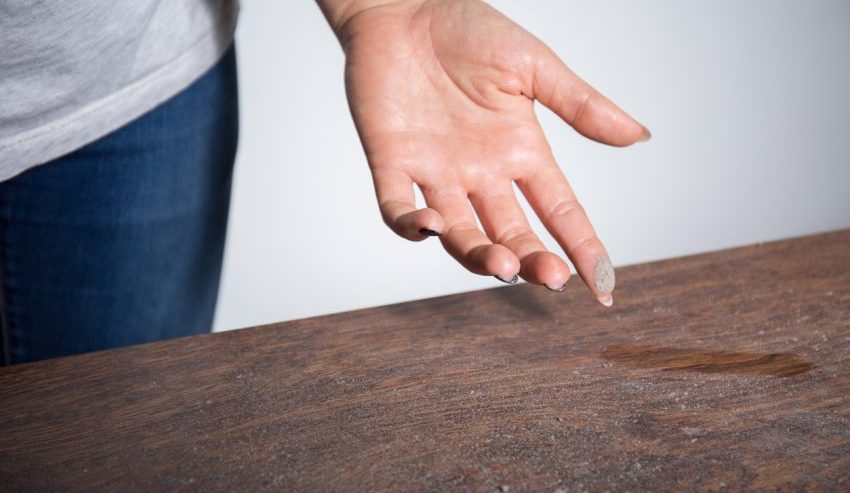 Partikel Kecil Debu Yang Membawa Penyakit Kotor