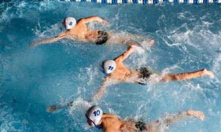 Aktivitas Seru Berenang Yang Menjadi Cabang Olahraga