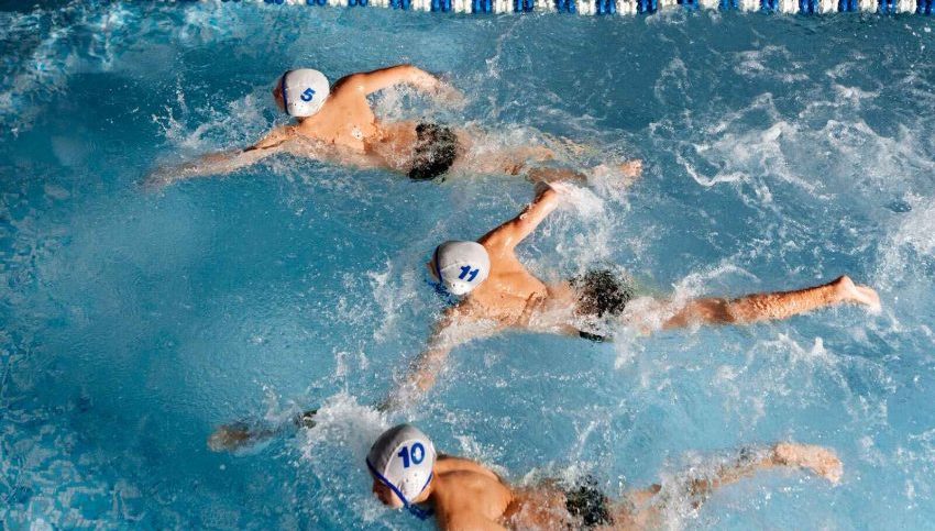 Aktivitas Seru Berenang Yang Menjadi Cabang Olahraga
