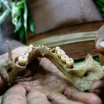 Sekolompok Kanibalisme Yaitu Pemakan Daging Manusia