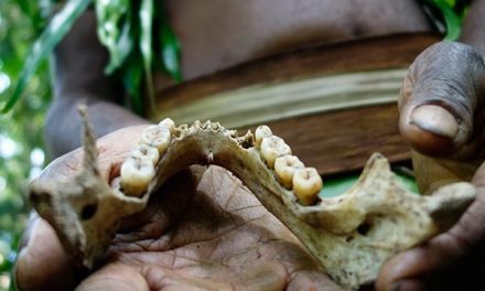 Sekolompok Kanibalisme Yaitu Pemakan Daging Manusia