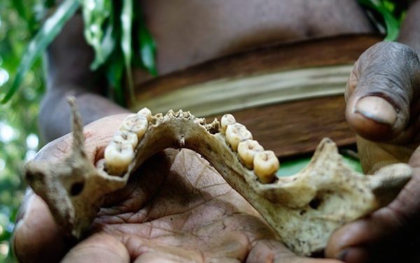 Sekolompok Kanibalisme Yaitu Pemakan Daging Manusia