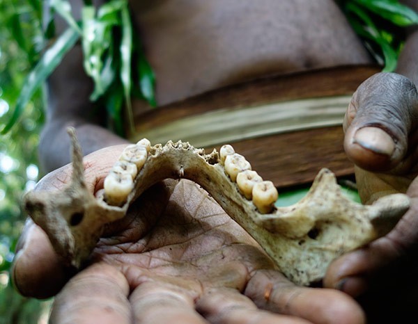 Sekolompok Kanibalisme Yaitu Pemakan Daging Manusia