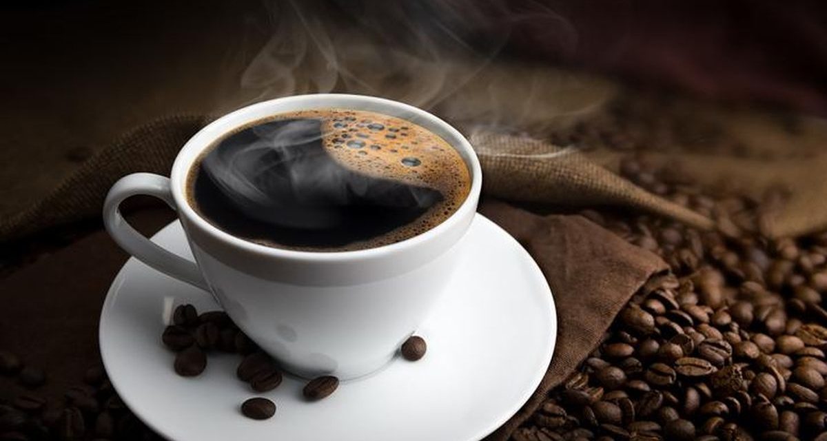Tanaman Buah Kopi Yang Di Ambil Untuk Membuat Minuman