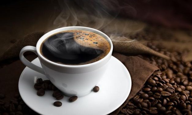 Tanaman Buah Kopi Yang Di Ambil Untuk Membuat Minuman