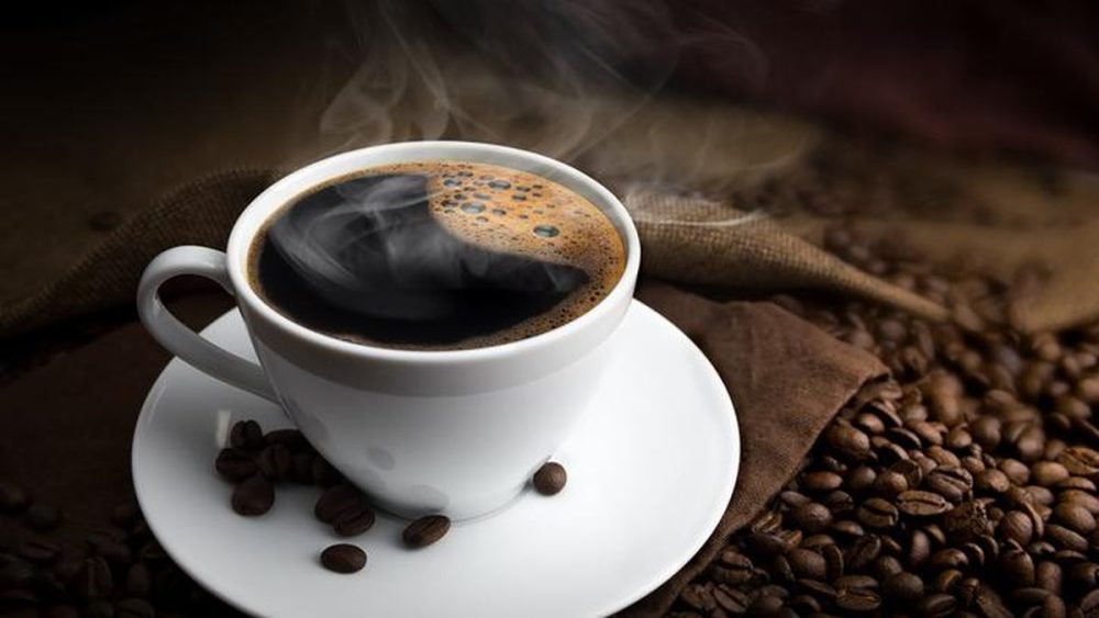 Tanaman Buah Kopi Yang Di Ambil Untuk Membuat Minuman