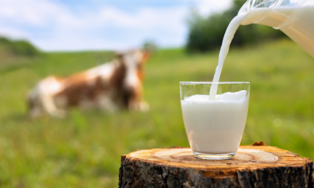 Suatu Cairan Susu Sebagai Minuman Bermanfaat