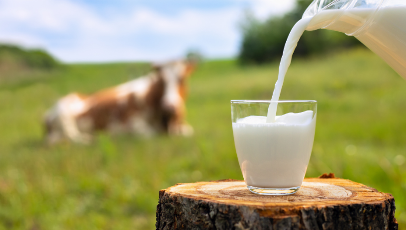 Suatu Cairan Susu Sebagai Minuman Bermanfaat