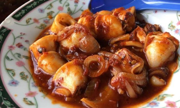 Hewan Laut Sotong Dengan Banyak Pilihan Masakan